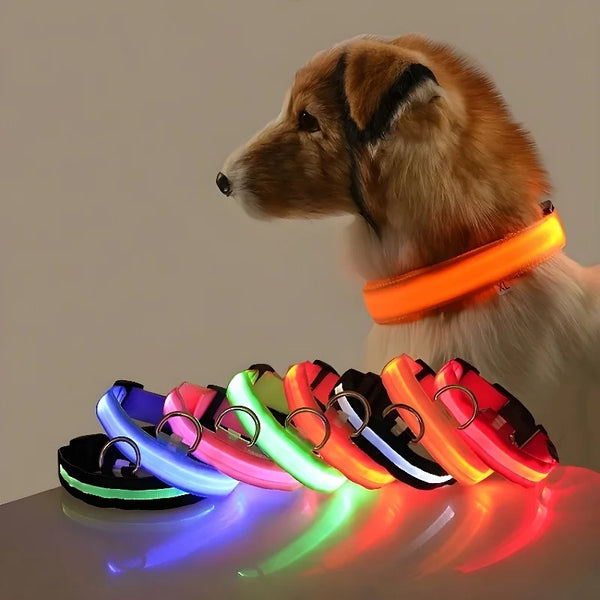 GlowSafe LED Dog Collar